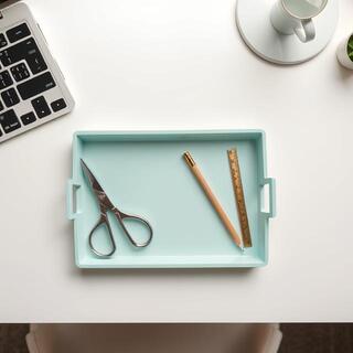 Scissors and tray keeping bits in place