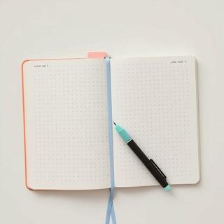 Dotted bullet journal spread with minimal layout