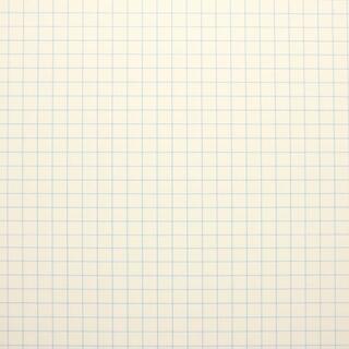 Close-up of crisp graph paper grid