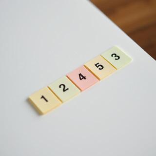 Numbered sticky tabs for monthly sections