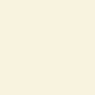 Ivory paper texture macro