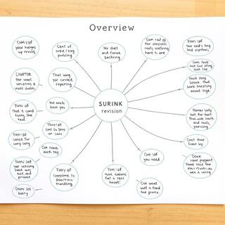Overview revision spread with linked topics